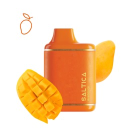 Saltica Leather 7000 Mango Ice Disposable Vape Bar Saltica Leather 7000 Mango Ice Disposable Vape Bar