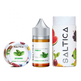 Saltica Spearmint Salt Likit Saltica Spearmint Salt Likit